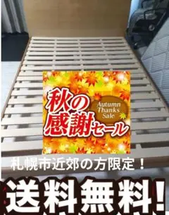 秋の感謝セール！札幌市近郊の方限定！送料無料！ダブルすのこベッド
