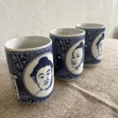 湯飲み 若貴 相撲 コップ 若乃花 貴乃花 - メルカリ