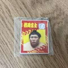 Item thumbnail for item 0ebe773a-68b6-4d6b-b1e1-af6846d3dede