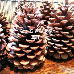 なっちゃん♪様専用です。他の方はご購入をご遠慮くださいませm(_ _)m