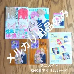 【匿名配送】営業ですから✨アニメイトセット【SNS風アクリルカード付き】✨特典