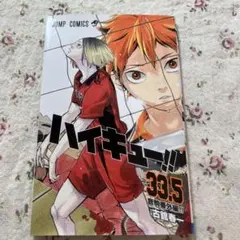 ハイキュー!! 33.5 プレミアム版