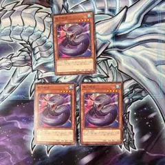 遊戯王　夜刀蛇巳　ノーマル 3枚セット　c