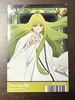 新装版 Fate/strange Fake 5巻 エルキドゥ アニメイト特典 - メルカリ