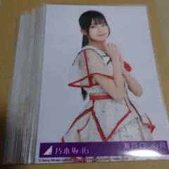乃木坂46「ビリヤニ」封入生写真40枚セット
