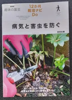 病気と害虫を防ぐ