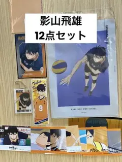 ハイキュー!!影山飛雄12点セット