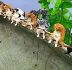 可愛い 猫 ねこ ネコ 釣り フィギュア 水槽アート 熱帯魚メダカ 置き物5匹のサムネイル