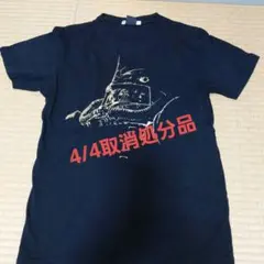 Item thumbnail for item 5d6dd96f-a842-4c4f-b201-c0699a502942