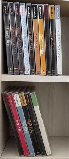 ファンクラブ FC会報 DVDセット むすめん。 めせもあ。 mesemoa