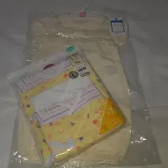 Item thumbnail for item 13eae4c6-a1e2-4095-bc4a-2873c4b4b19c