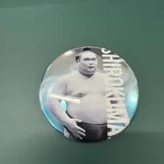 Item thumbnail for item 7d131391-42c7-45cd-868a-cde77007cba3