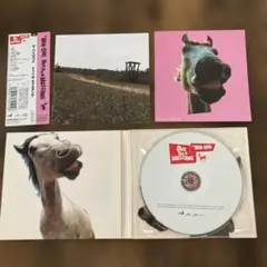 Do!! the Mustang HIGH-LOWS CD
