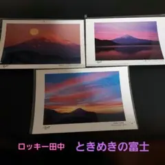 2026年最新】ロッキー田中の人気アイテム - メルカリ