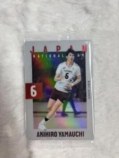 バレーボール男子日本代表ウエハーストレーディングカード山内晶大選手