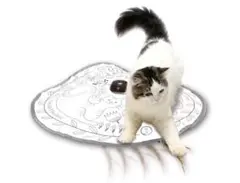 Item thumbnail for item 2e0cb91e-f634-4232-9b62-47155535164a