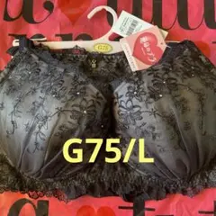 運命のブラ ブラジャーショーツセット G75 Lのサムネイル