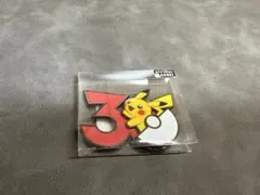 ピカチュウ マグネット 30周年 中国限定 ポケモン 1つ - メルカリ