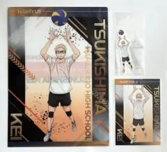 ハイキュー　月島蛍　クリアファイル　ステッカー　アニメイト　特典　ポストカード