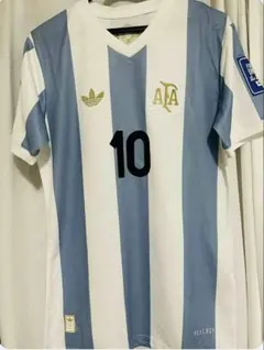 アルゼンチン代表/ 10番 /Lサイズ /ホーム/ユニフォーム/メッシ