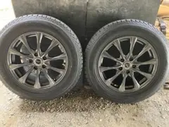 DUNLOP AIRNOVA SB10/WINTER MAXX SJ8+