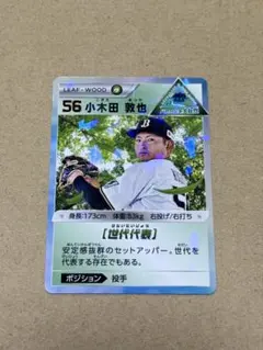 キャプテン翼　若林源三　たたかえドリームチーム　トレーディングカード キャプテン翼 たたかえドリームチーム トレーディングカード トレカ