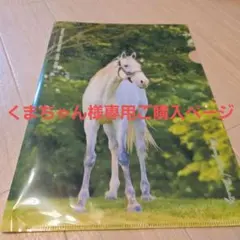 ゴールドシップ クリアファイル 2枚セットのサムネイル