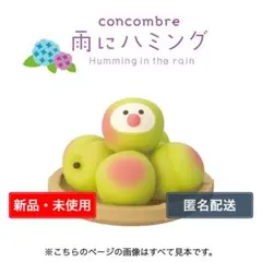 Decole concombre 梅の実文鳥