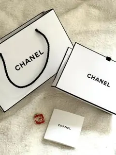 CHANEL ショッパー袋 ホワイト 小型