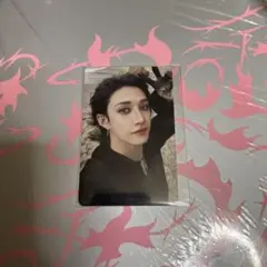 Straykids DOIT 店舗特典 aladin バンチャン