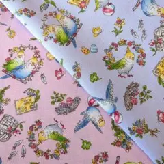 インコちゃん【２色セット】オックス／ラスト