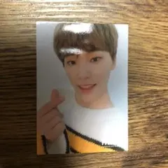 SEVENTEEN トレカ ディノ HARU