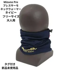 Item thumbnail for item 30d0b1eb-ee40-4e09-ab4d-794efa71b3e7