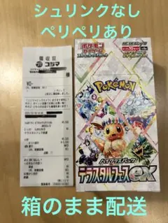 2025年最新】テラスタルフェスexの人気アイテム - メルカリ