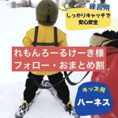 れもんろーるけーき様 リクエスト 2点 まとめ商品