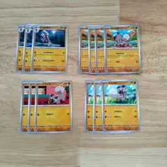 ポケモンカード イワンコ ルガルガン　進化ライン　バトルパートナーズのサムネイル