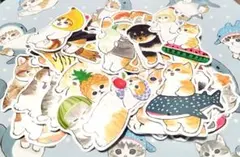 Item thumbnail for item 575760d1-f4b8-47d6-8a98-652a0487b72c