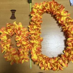 フラダンス　レイ ハク　2点セット