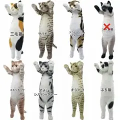 2026年最新】たっちぃzooにゃんこの人気アイテム - メルカリ