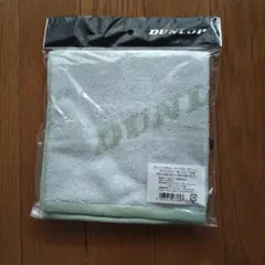 Item thumbnail for item 611d5d24-5472-4019-aa29-87913849b859