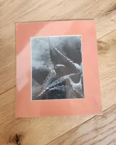 Item thumbnail for item 9bff6f0d-dc77-4c3d-891e-3c5753368389