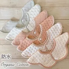 Item thumbnail for item 5d6e7c43-9e4b-4b41-a996-477a37a584d8