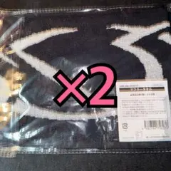 aespa aeXIS LINE ツアー グッズ マフラータオル ×2
