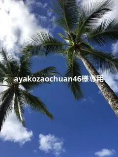 和菓子盛りもりセット＆黒急須