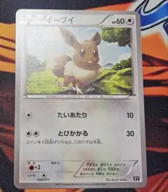 イーブイ XY THE BEST OF XY