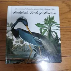 Audubon's Birds of America