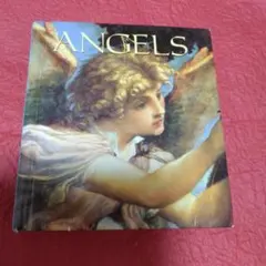 ANGELS Nancy Grubb アートブック
