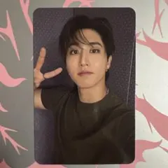 straykids DOIT アコーディオンver. 封入 ハン