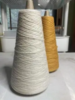 Item thumbnail for item 6b4ddef3-6c54-4a2c-b05c-e91050a15651