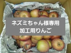 【ネズミちゃん様専用h9】加工用りんご
